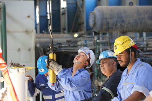 技術(shù)服務(wù)揚(yáng)帆出海 蘭州石化叩開非洲市場大門